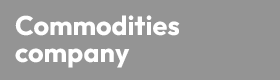Senior Business Controller